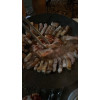 https://viande.co.kr/data/itemuse/thumb-32651700_AjNDJ8BQ_ae25239f37f7d444480b0523ace3d41824e5a131_100x100.jpg
